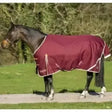 Gallop Trojan Xtra Lightweight 100g Standard Neck Turnout Rug 5'6" Turnout Rugs