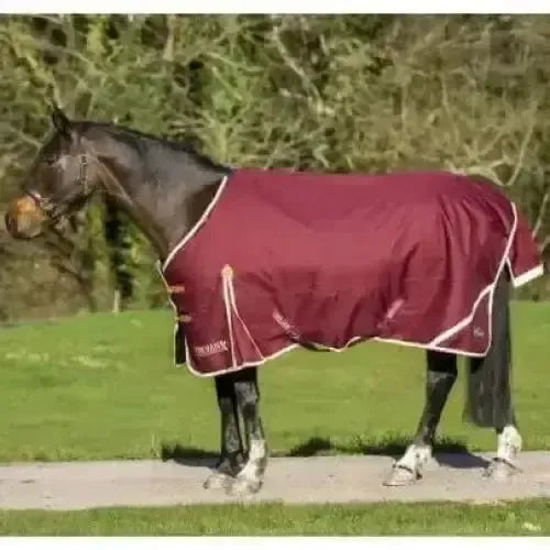 Gallop Trojan Xtra Lightweight 100g Standard Neck Turnout Rug 5'6" Turnout Rugs