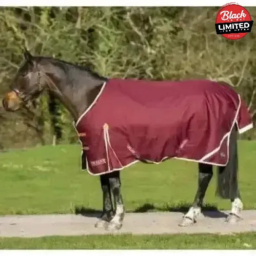 Gallop Trojan Xtra Lightweight 100g Standard Neck Turnout Rug 5'6" Turnout Rugs