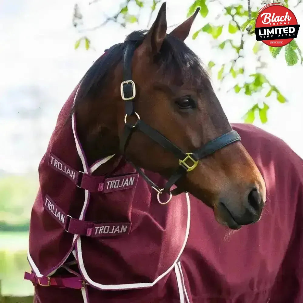 Gallop Trojan Xtra Neck Cover 0g Lightweight Small Neck Covers