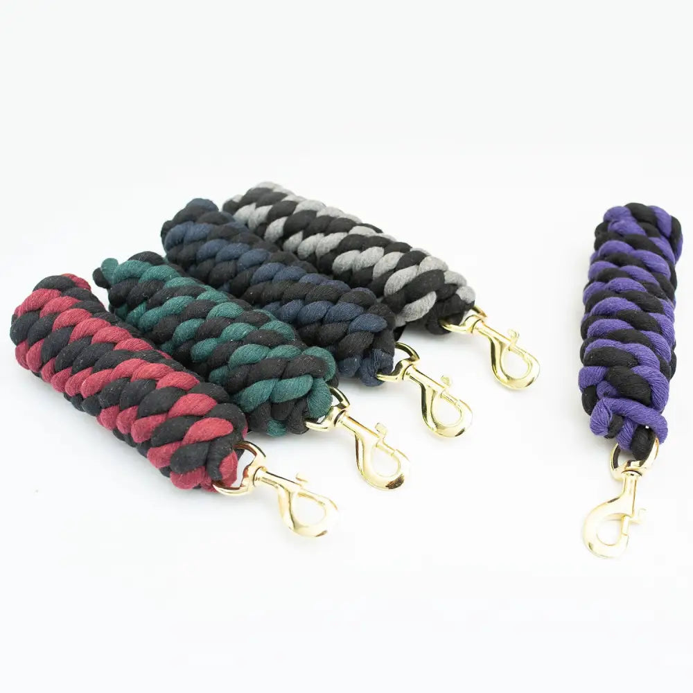 Braided gallop twin colour lead rope handles in assorted colors with gold tone clasps for horse leading use