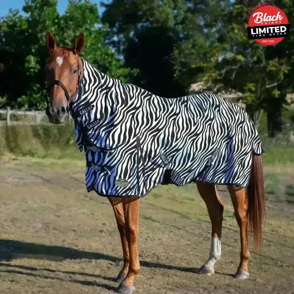 Gallop Zebra Fly Rug Combo Fly Mesh 4'6" Fly Rugs