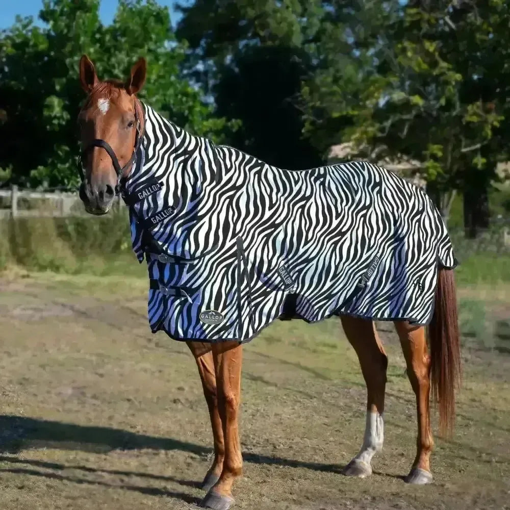 Gallop Zebra Fly Rug Combo Fly Mesh 4'6" Fly Rugs