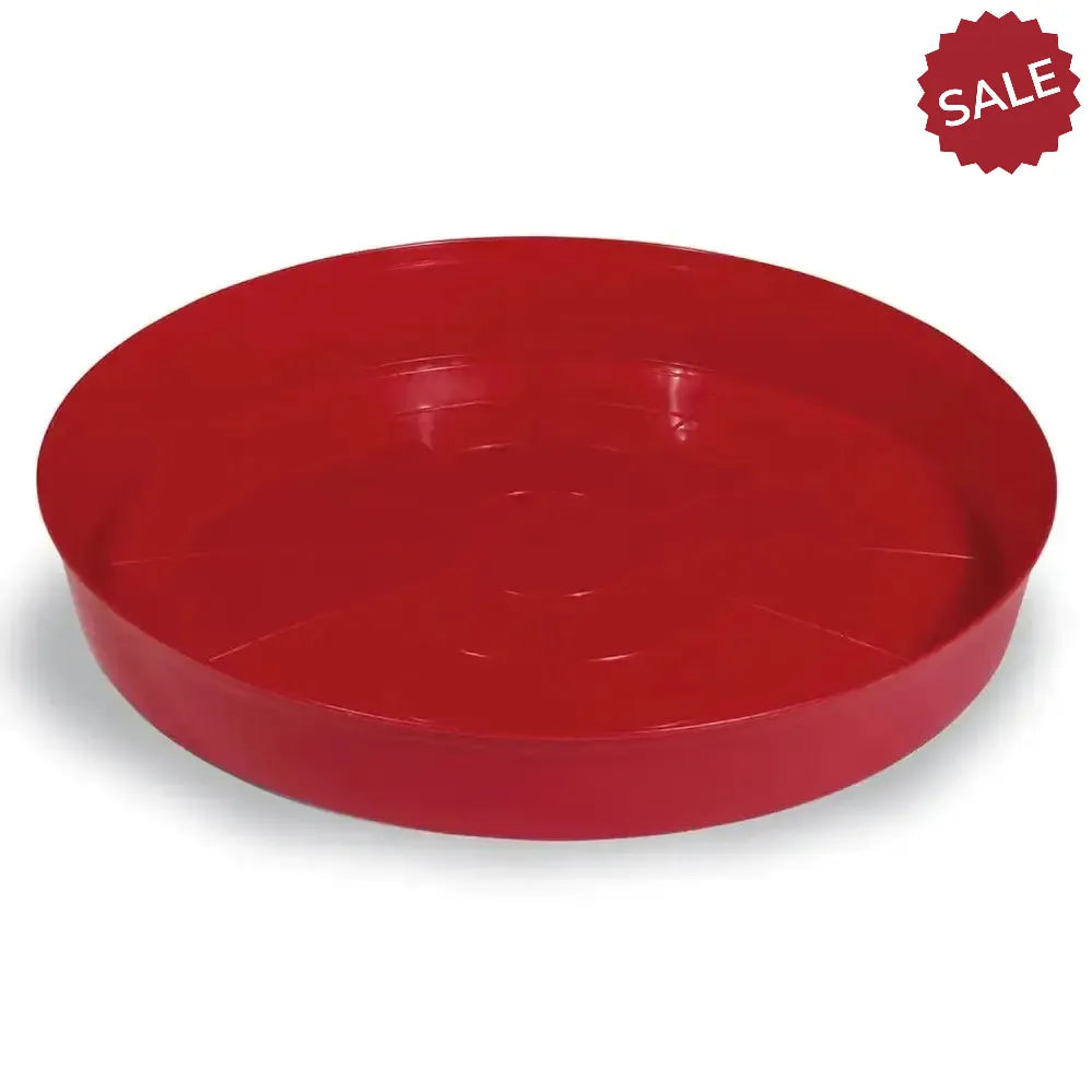 Gaun Chick Tray Feeder Poultry Feeders