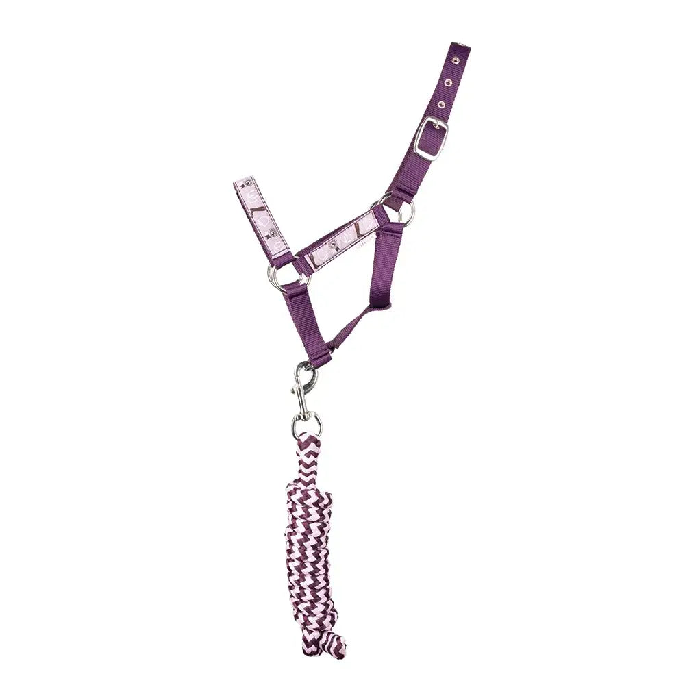 Purple gymkhana head collar and lead rope set with silver hardware and matching purple and white zigzag rope set by little rider