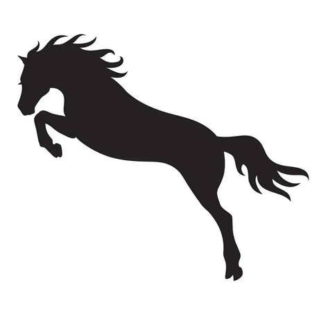 Glamourati Horse Stencils Jumping Horse Glamourati Showing & Plaiting Barnstaple Equestrian Supplies