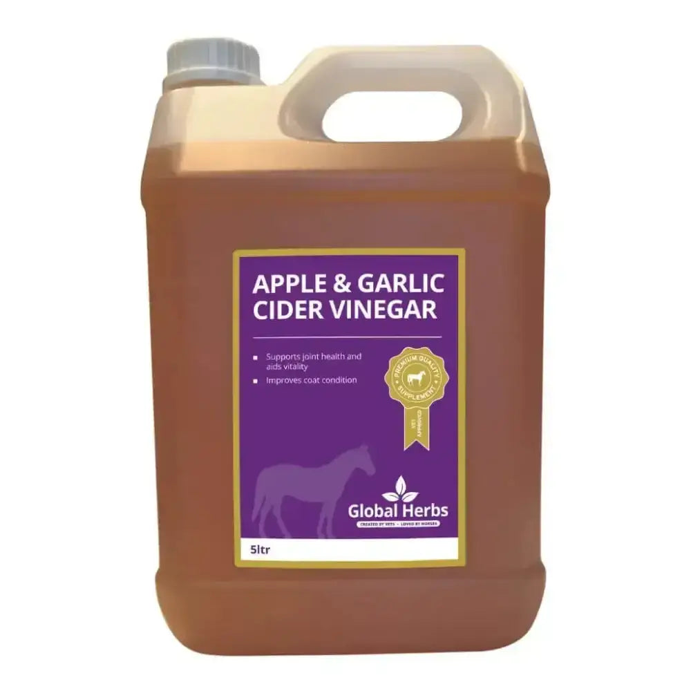 A 5-liter jug of global herbs garlic cider vinegar with a purple label gold trim and white handle for equine use