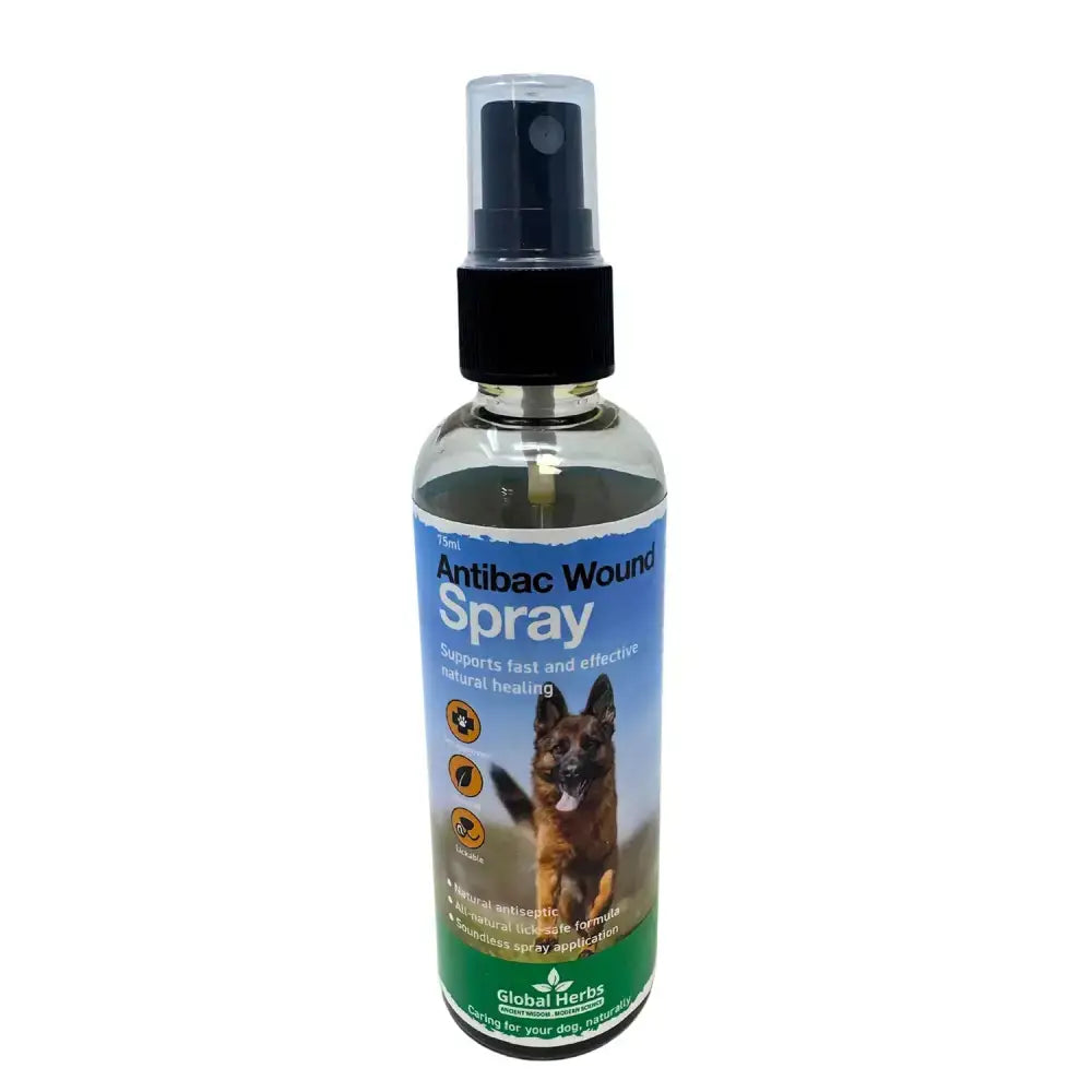 Clear glass bottle with black spray nozzle labeled antibac wound spray by global herbs for canine antibac wound care