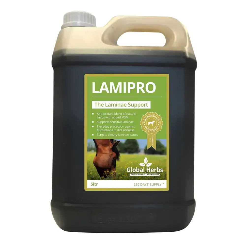 A 5-liter black plastic jug with beige handle and cap labeled global herbs lamipro supplement for herbal use