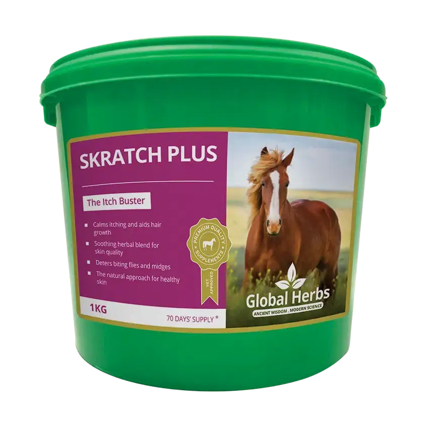 Global Herbs SkratchPlus 500g Horse Supplements