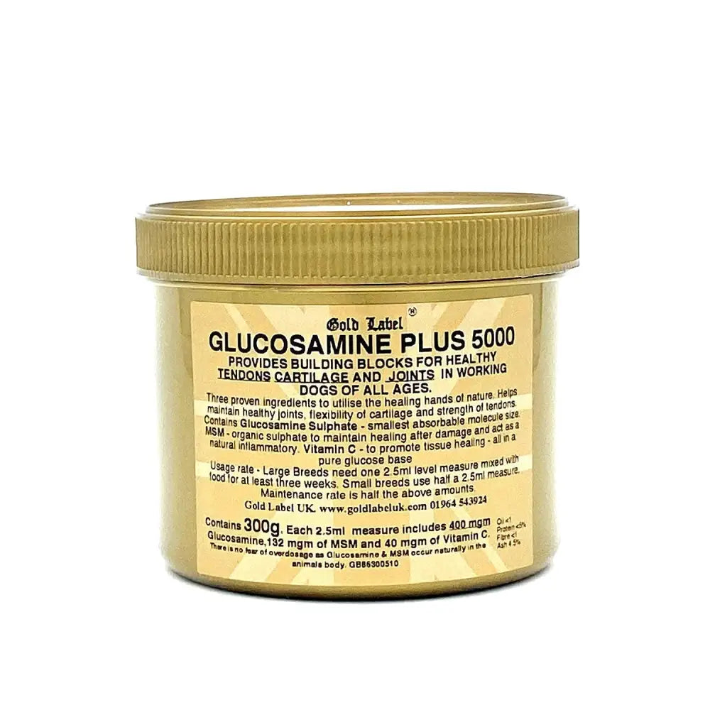 Gold label canine glucosamine plus 5000 supplement jar with gold lid designed for dogs of all ages
