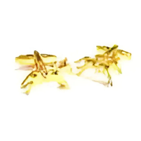 Golden Jockey on Horseback Cufflinks Gifts