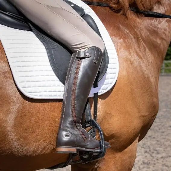 Bareback Footwear Graceland Long Riding Field Boots - Brown EU 36 - UK 3 Long Riding Boots