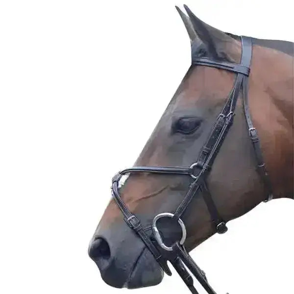 Black leather grackle bridle westminster with silver metal hardware and reins by cottage craft