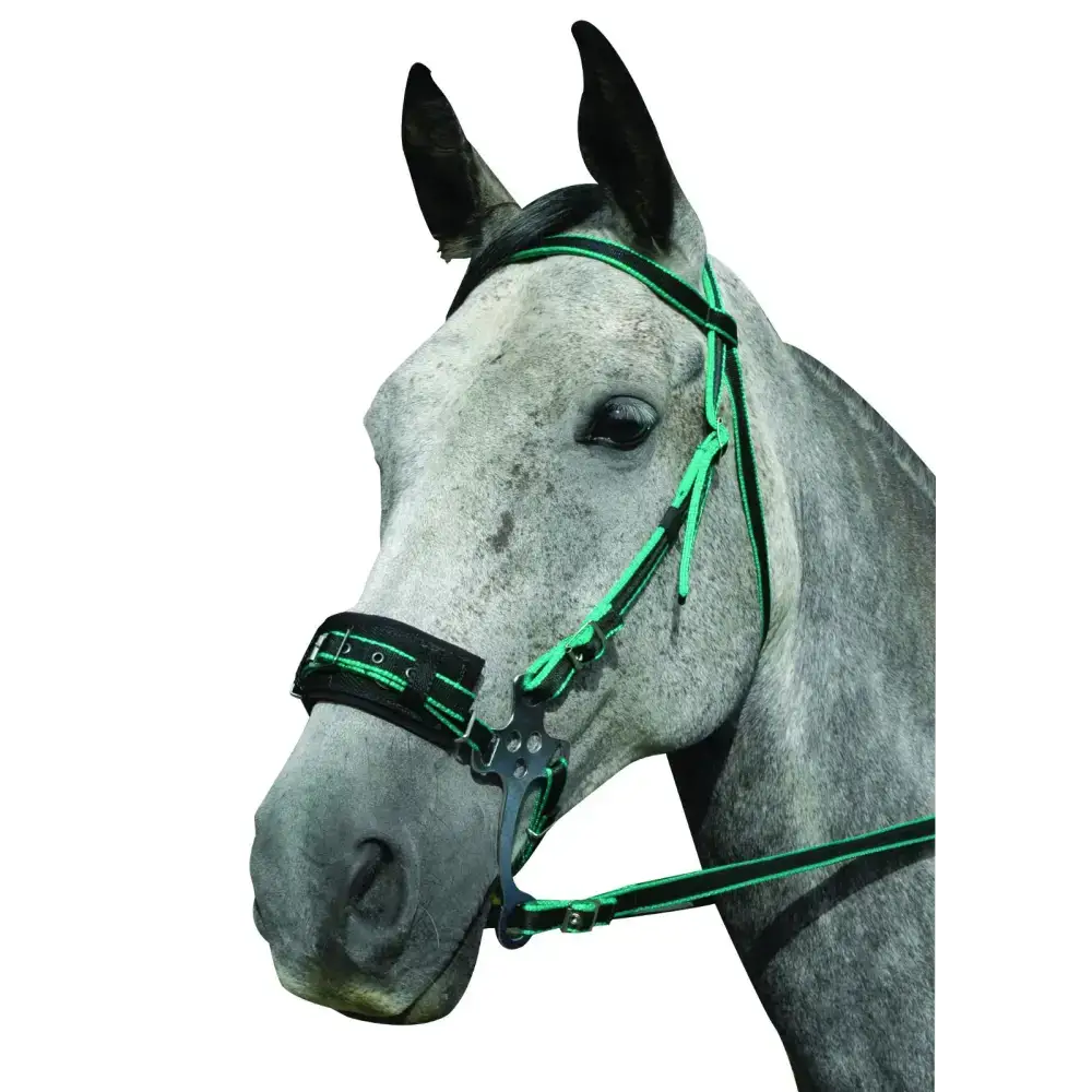 Hackamore Bitless Bridle Blue Small
