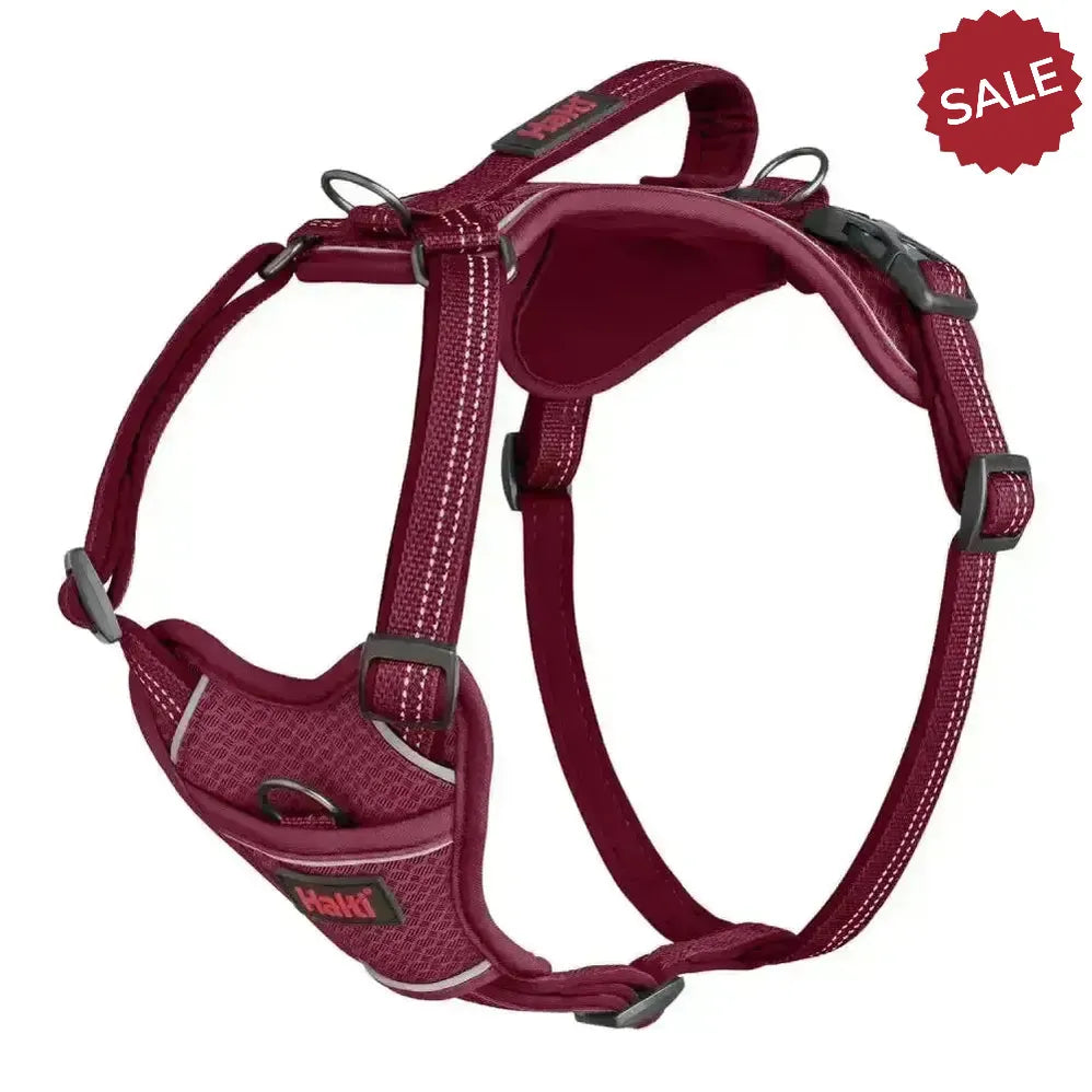 Halti Anatomy Harness Magenta Large magenta Dog Harness