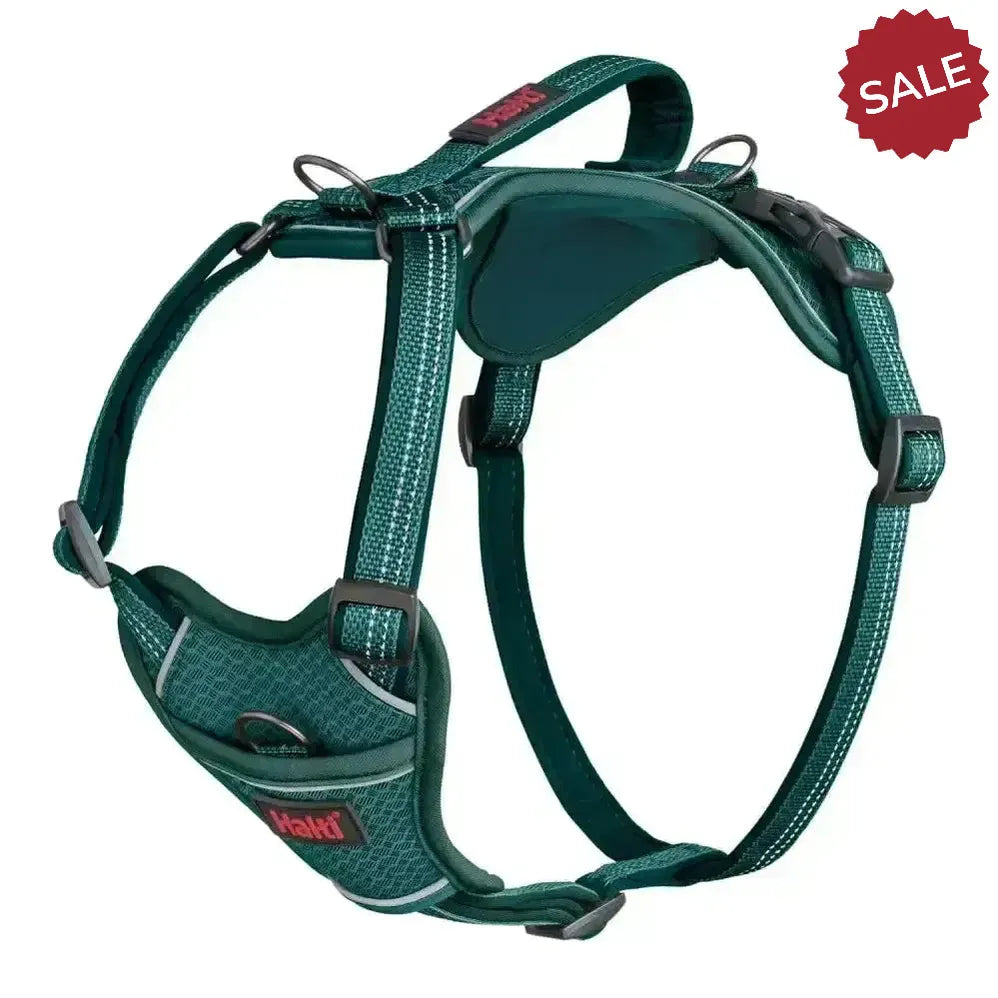 Halti Anatomy Harness Teal Large Teal Dog Harness