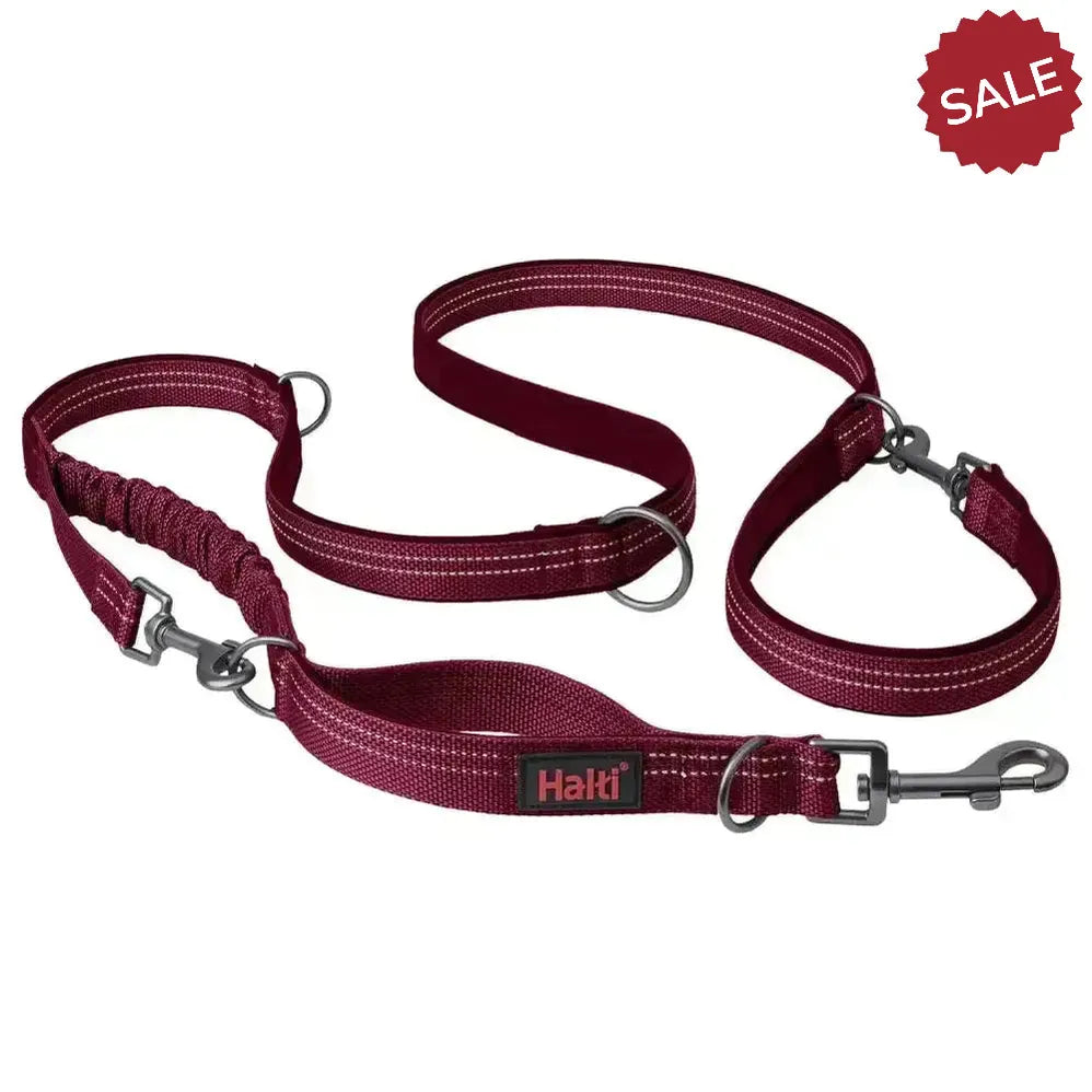 Halti Anatomy Multi Lead Magenta Large magenta Dog Harness