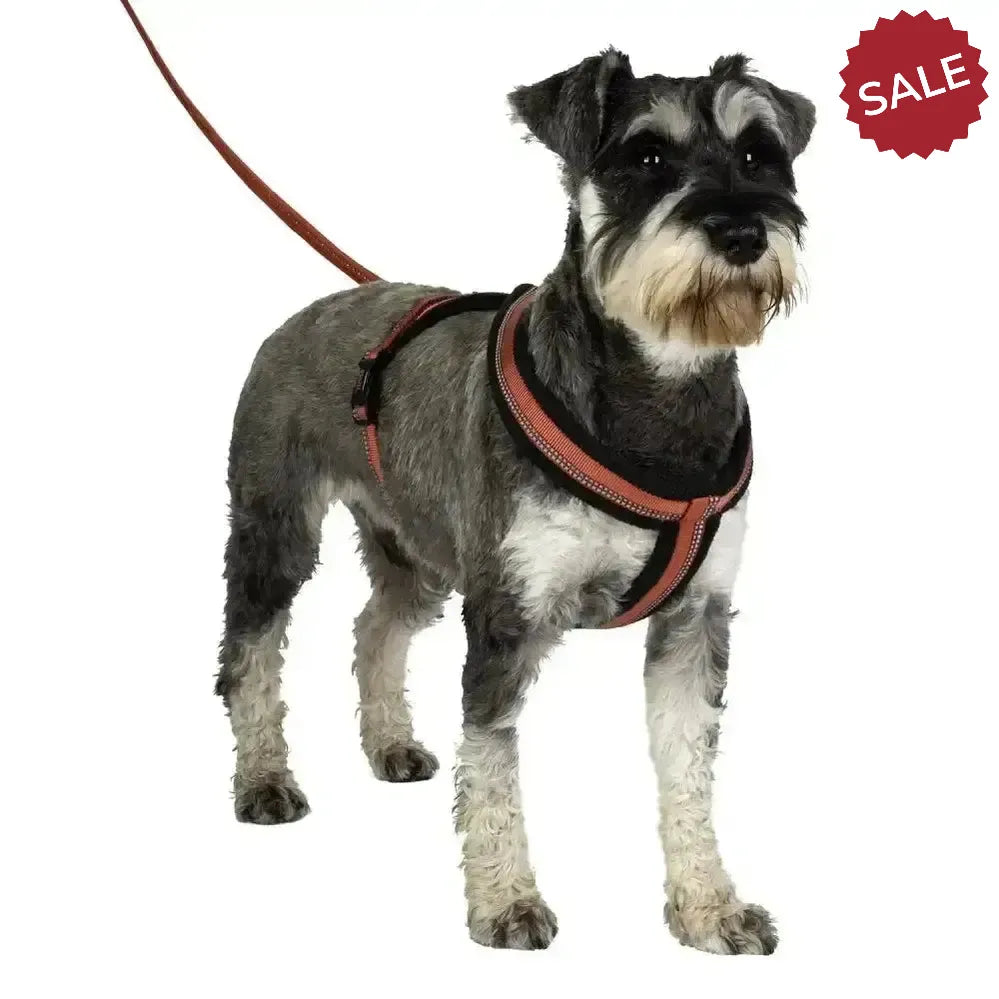 Halti Comfy Harness X Small Red Dog Harness