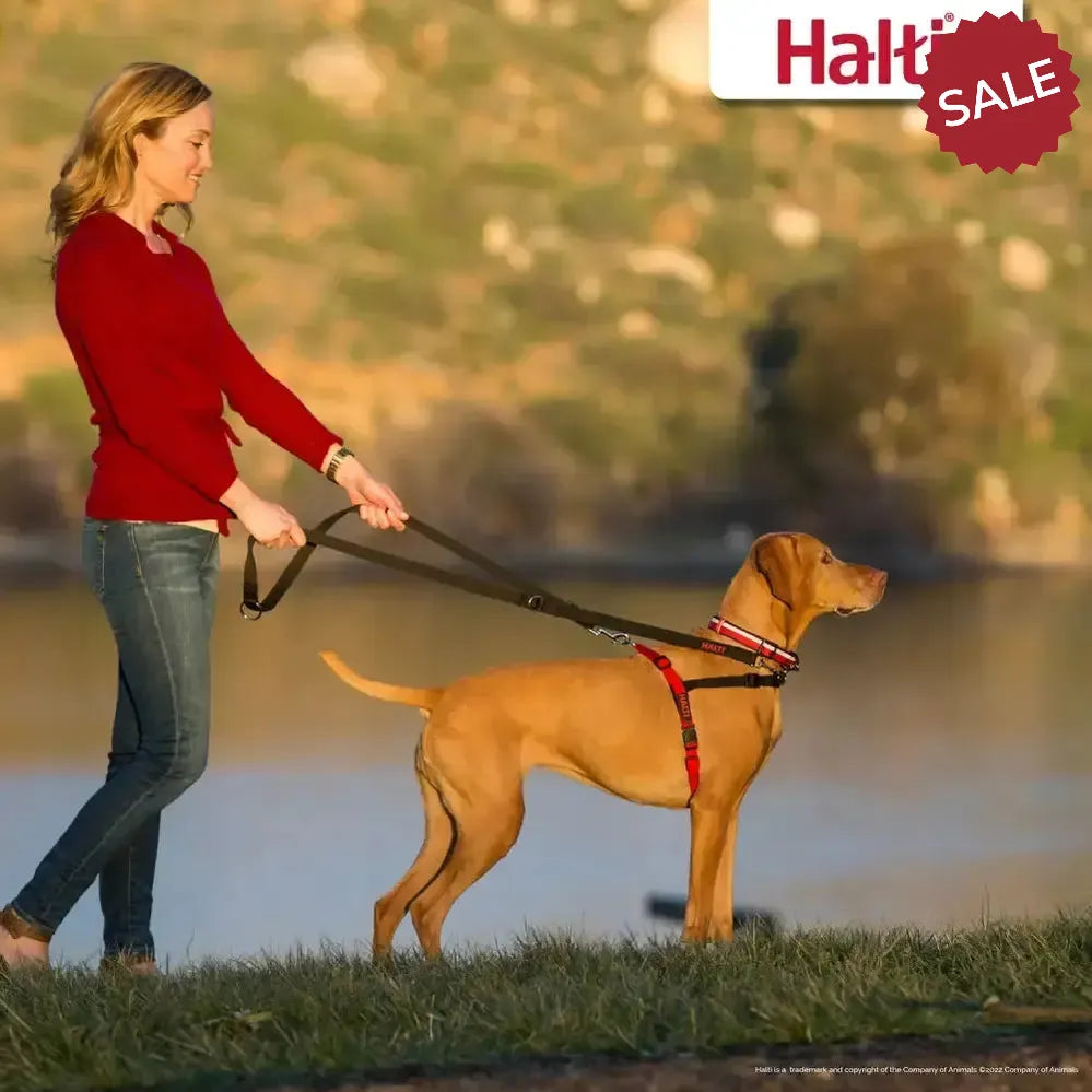 Halti Front Control Harness Black/Red Medium Black/Red Pet Training