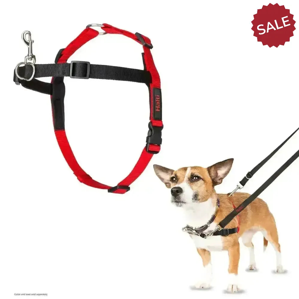 Halti Front Control Harness Small Black/Red Dog Harness