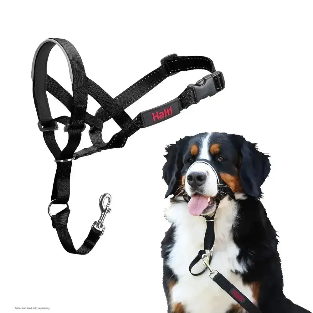 Black halti headcollar with red branding and adjustable buckles designed for strongest pullers and maximum control