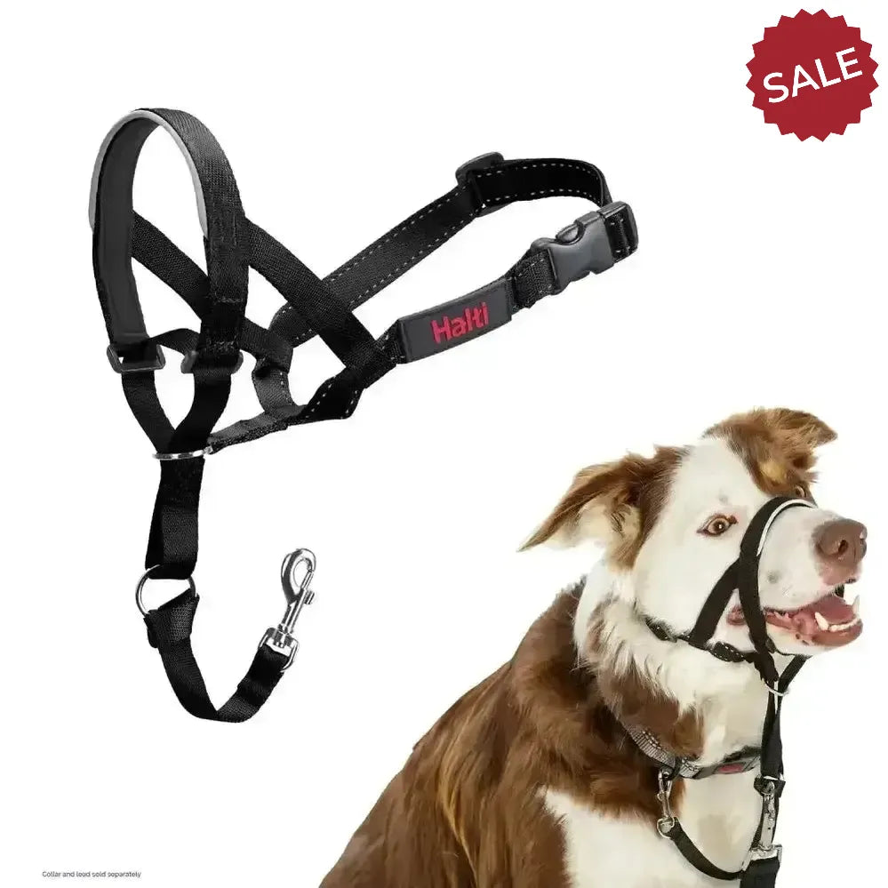 Halti Headcollar Black 0 Black Dog Harness