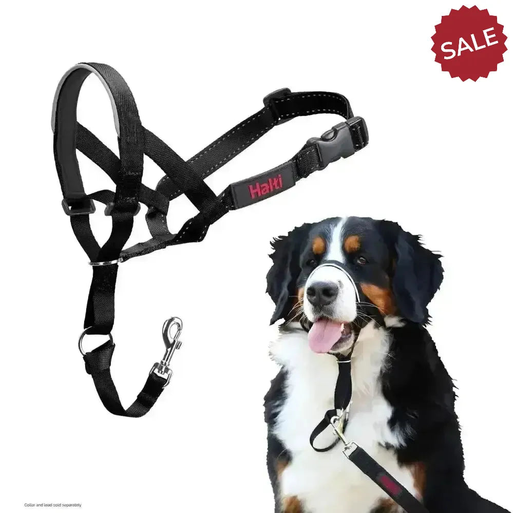 Halti Headcollar Black 0 Black Dog Harness