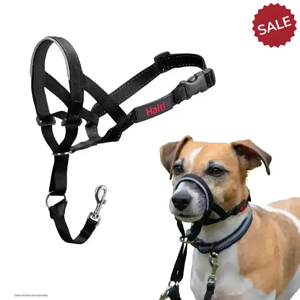 Halti Headcollar Black 0 Black Dog Harness