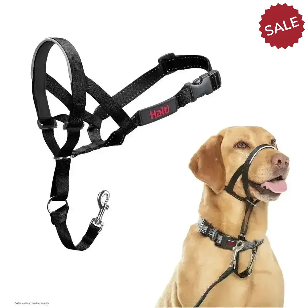 Halti Headcollar Black 0 Black Dog Harness