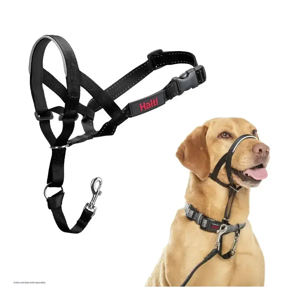 Black halti headcollar with adjustable straps and metal clip for strongest pullers offering maximum control