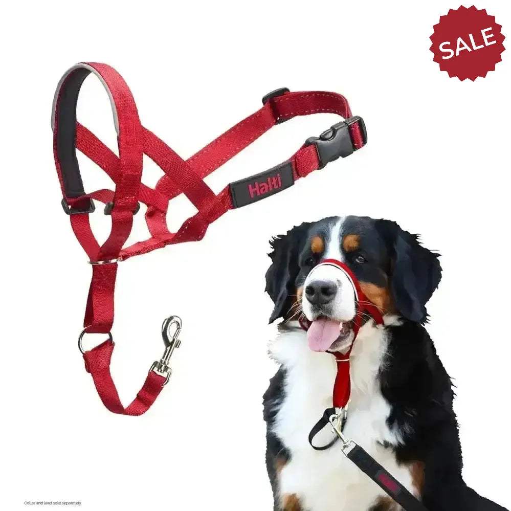 Halti Headcollar Red 1 Red Dog Harness