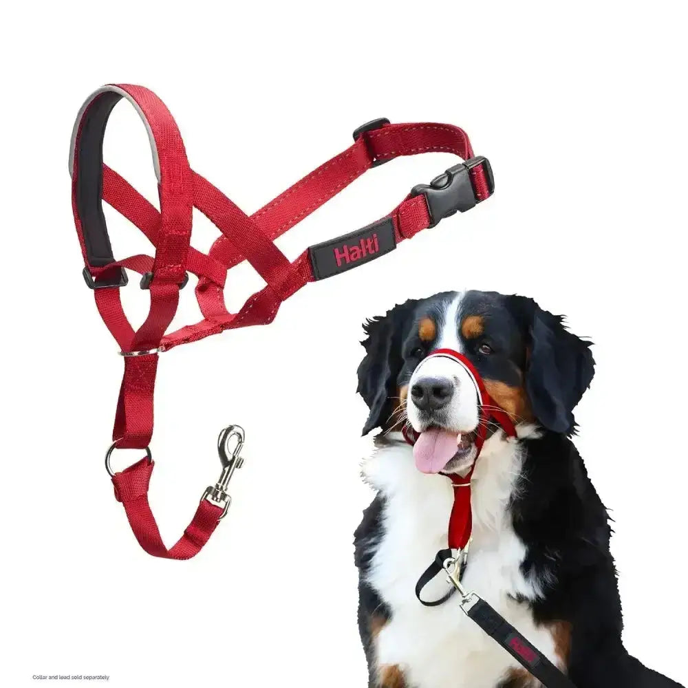 Red halti headcollar with black padded straps and metal clip designed for strongest pullers and maximum control