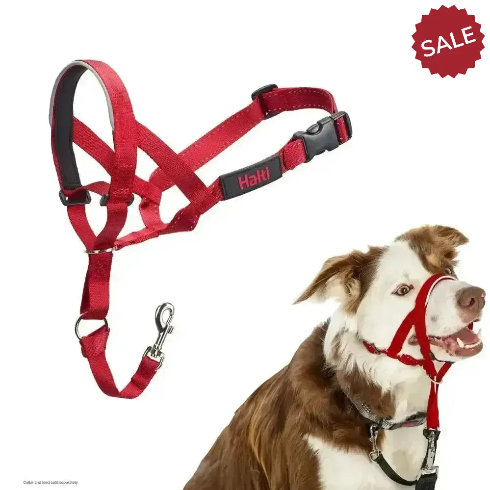 Halti Headcollar Red 1 Red Dog Harness