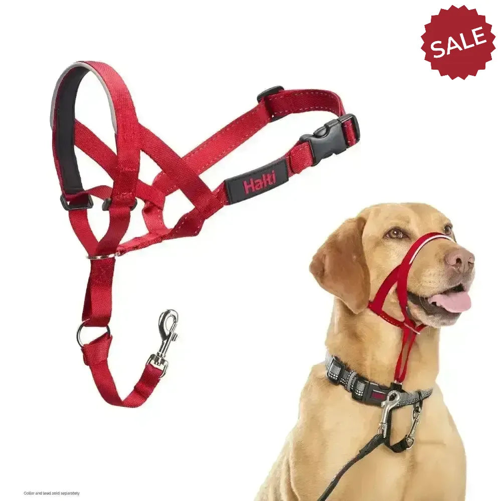 Halti Headcollar Red 1 Red Dog Harness