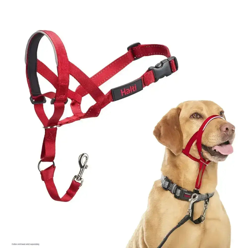 Red halti headcollar with black accents and metal clip designed for strongest pullers and maximum control