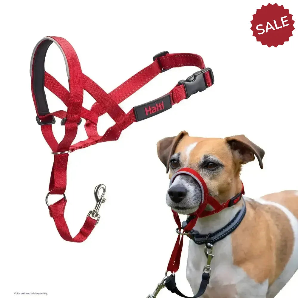Halti Headcollar Red 1 Red Dog Harness