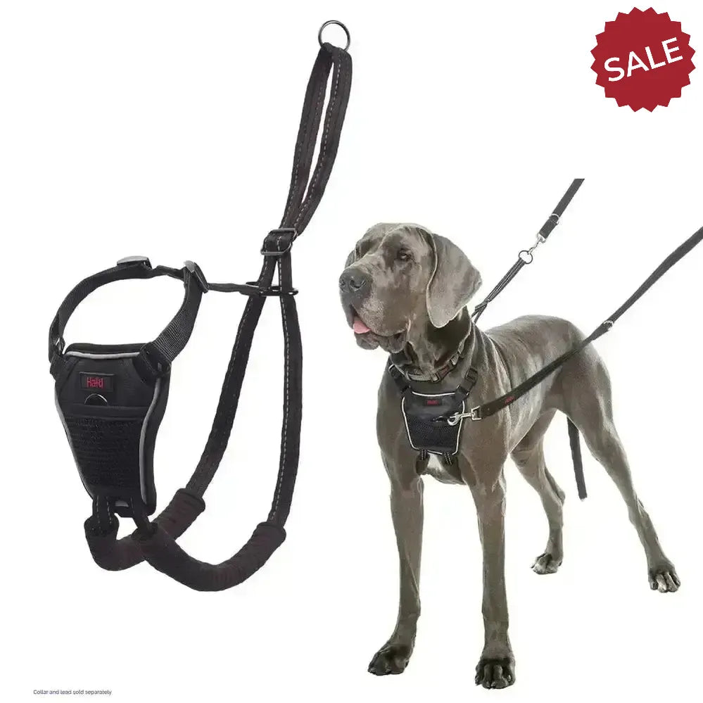 Halti No Pull Harness Black Large Dog Harness