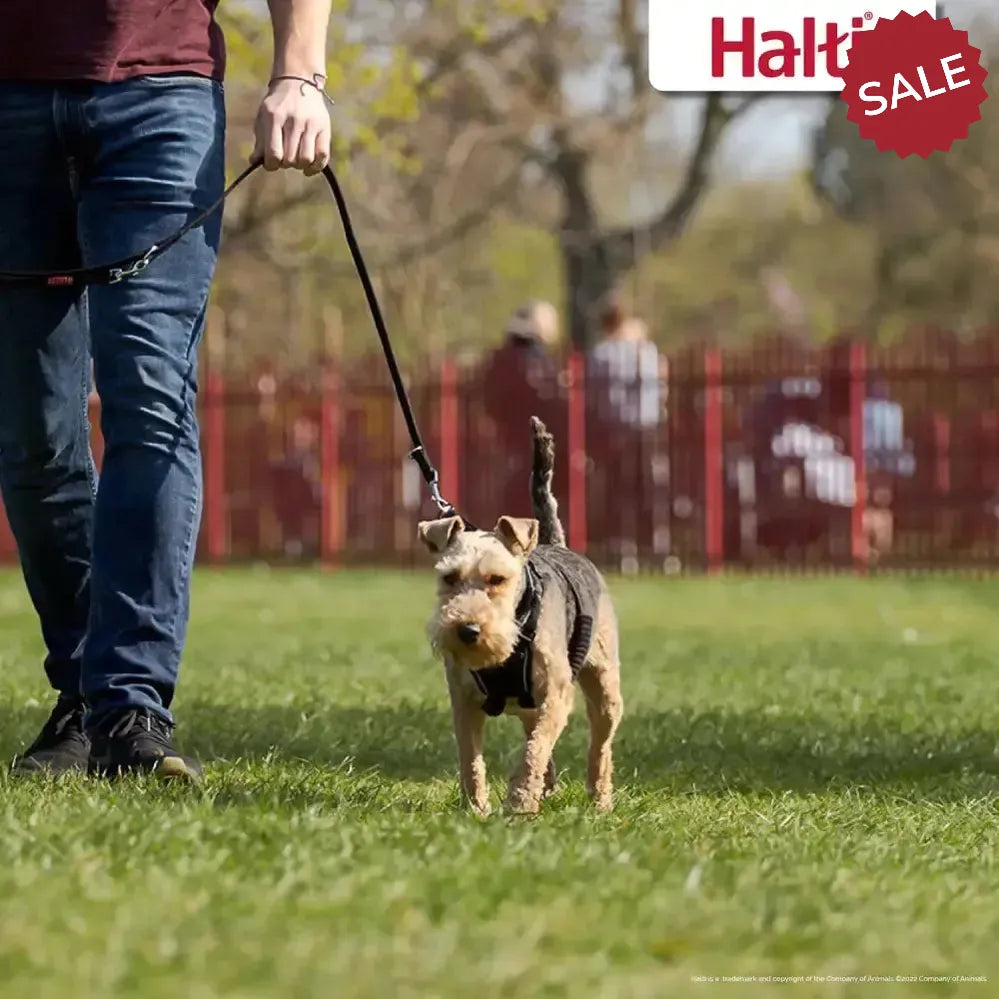 Halti No Pull Harness Black X Small Dog Harness