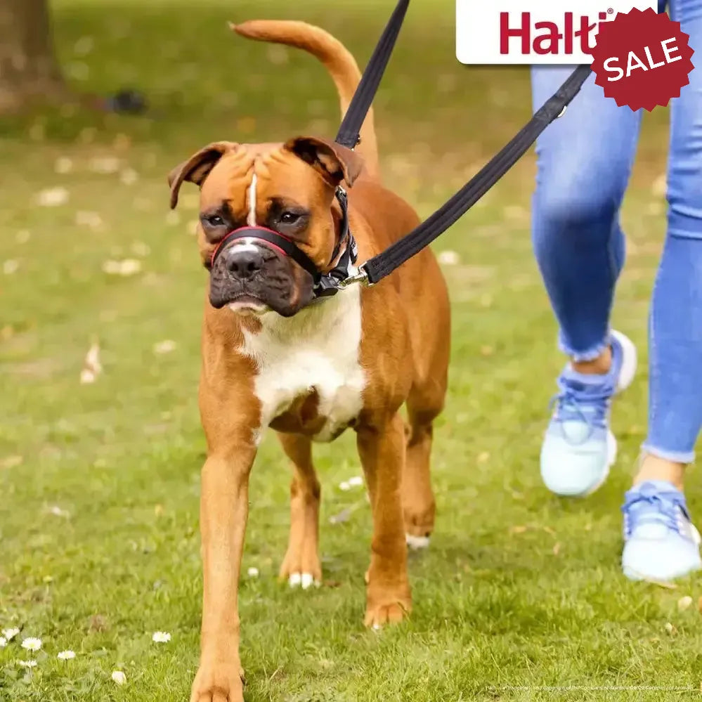 Halti Optifit Black Large BLACK Dog Harness