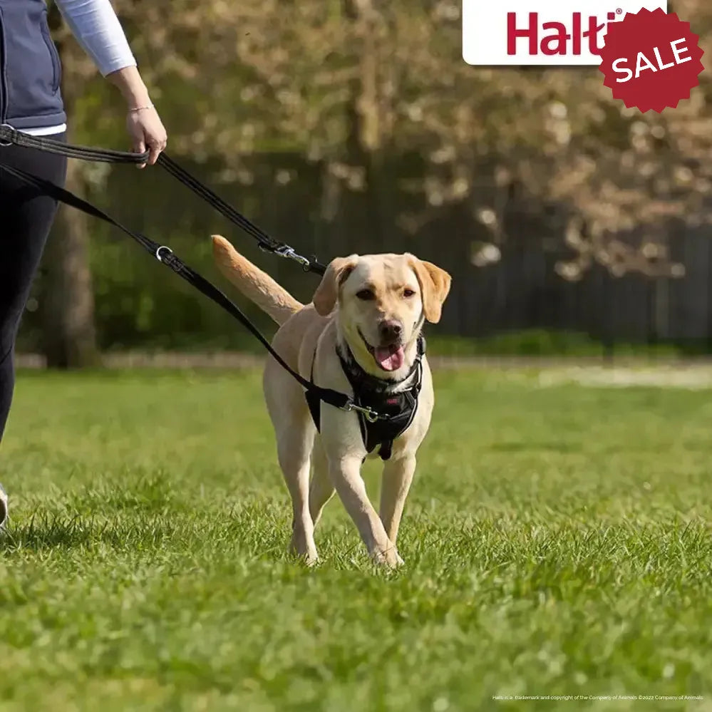 Halti Training Lead Black Large BLACK Dog Lead