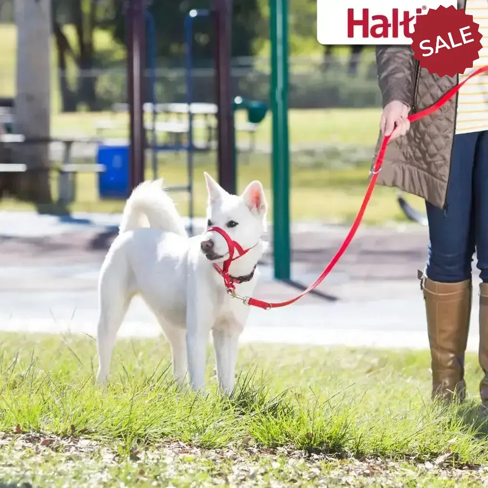 Halti Training Lead Red Large Red Pet Training