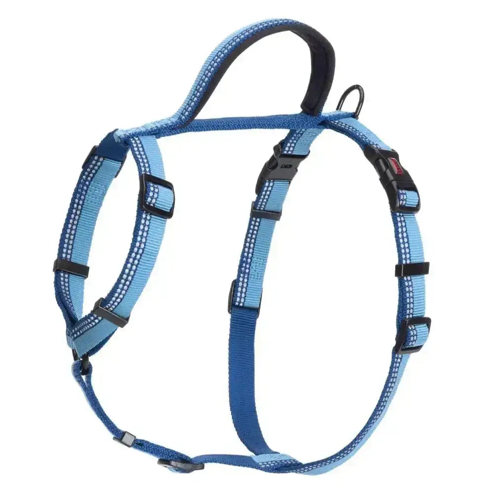 Blue halti walking harness with five points, reflective white stitching, and black plastic buckles for walking harness blue