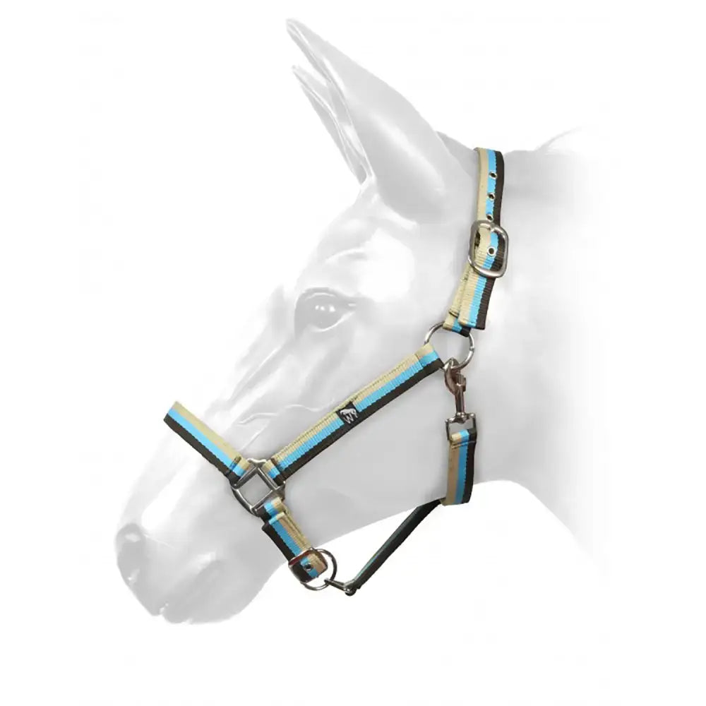 A blue and beige striped hcw01 w-horse harvey headcollar brown turquoise beige with silver metal hardware