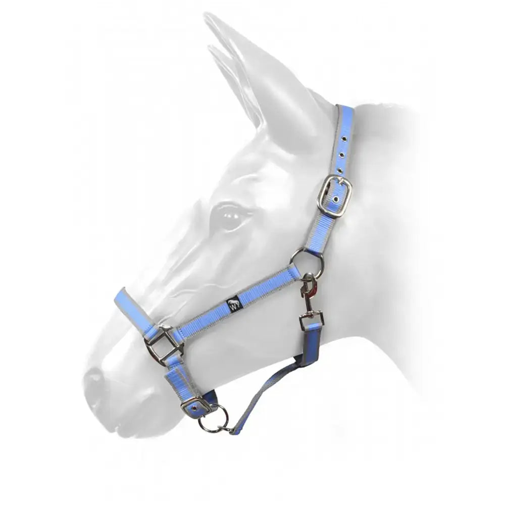 Light blue nylon w-horse harvey headcollar hcw01 w-horse grey light blue with silver hardware and black logo on cheek strap