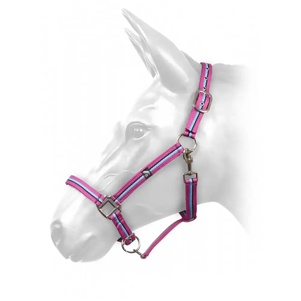 Pink and blue striped w-horse harvey headcollar magenta with silver hardware perfect for horses in black turquoise tones