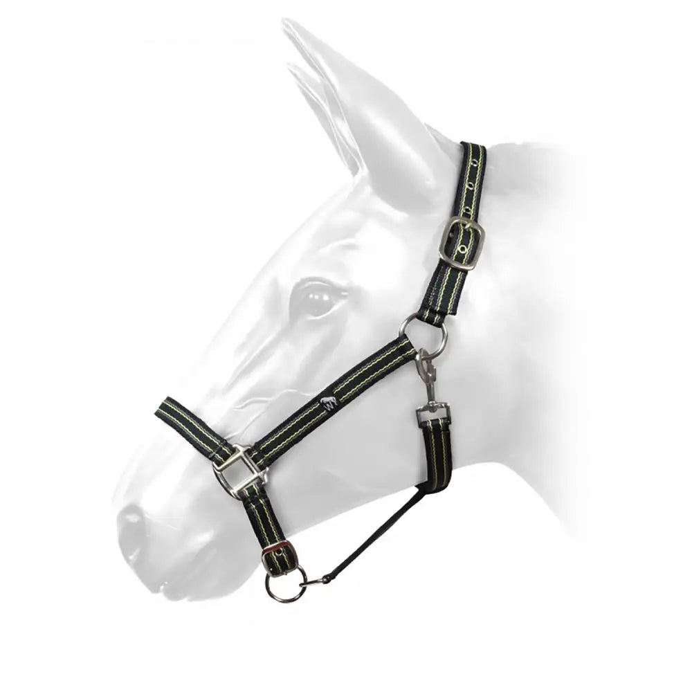 Black horse halter with silver hardware and white stitching in hcw01 w-horse navy lilac fluoro headcollar navy design