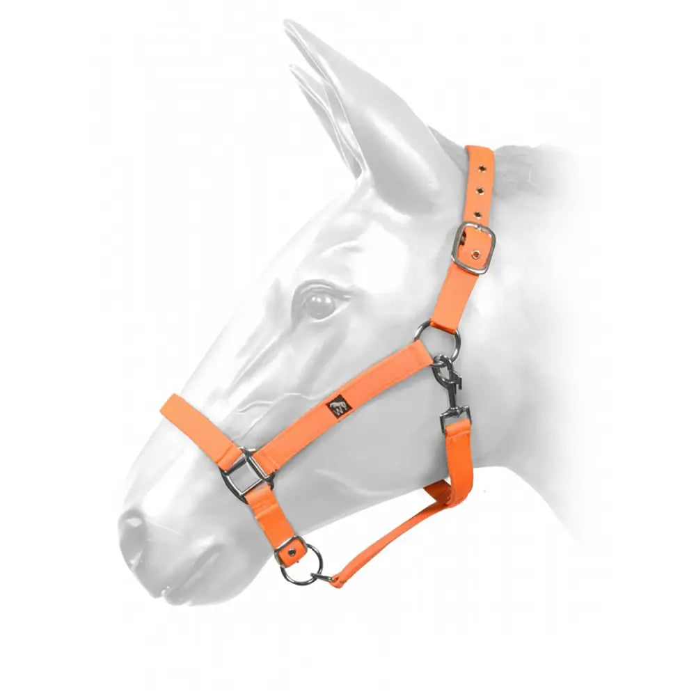 Bright orange leather hcw01 w-horse harvey headcollar neon with silver hardware and small logo on strap