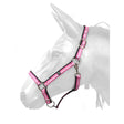 Hcw01 W-Horse Harvey Headcollar Pink/White/Black Cob Pink/White/Black Headcollars & Lead Ropes