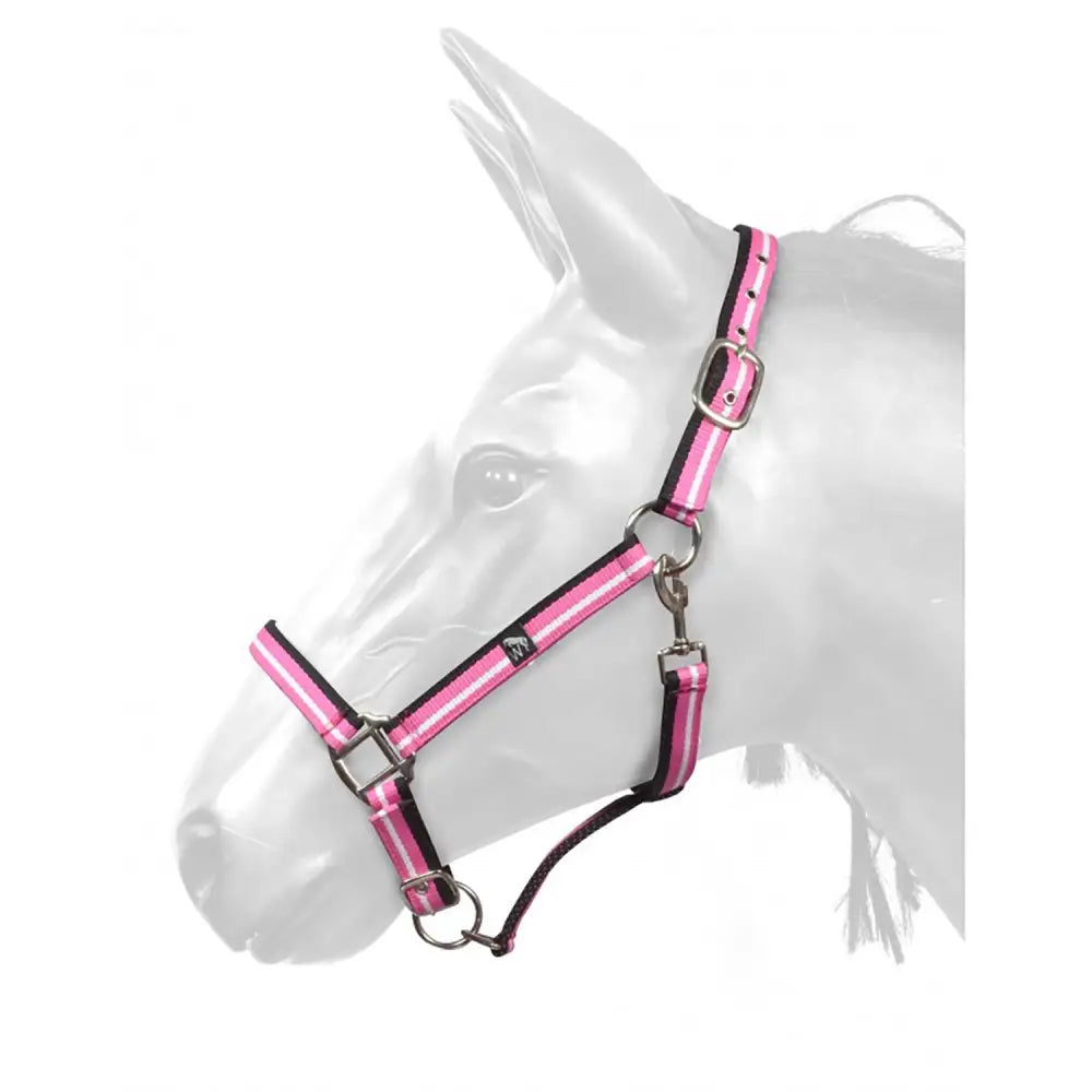 Pink and black reflective hcw01 w-horse harvey headcollar pink white black with silver hardware for horses